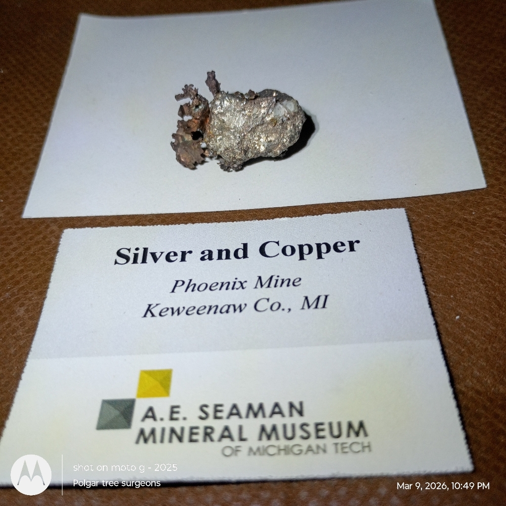 Native Silver & Copper Mineral Specimen